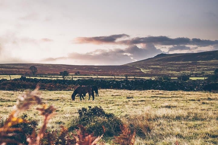 Devon Tour App, Hidden Gems Game and Big Britain Quiz (7 Day Pass) UK