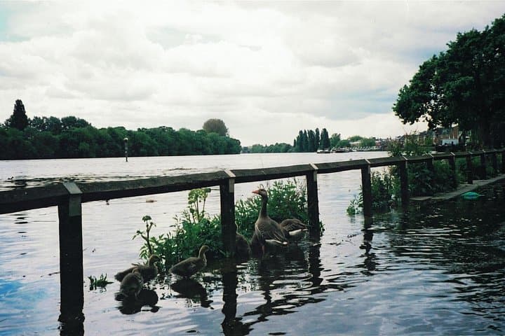 Hammersmith to Chiswick: A Self-Guided Audio Tour along the Riverside