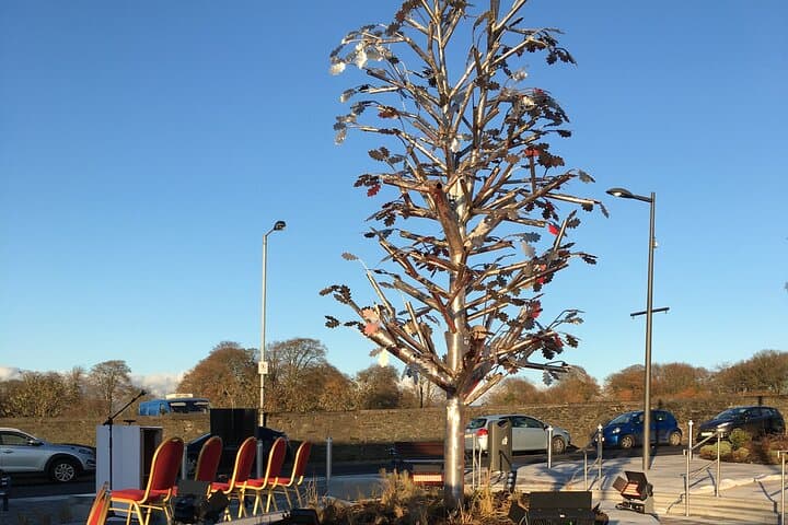 Start Point - Peace Tree