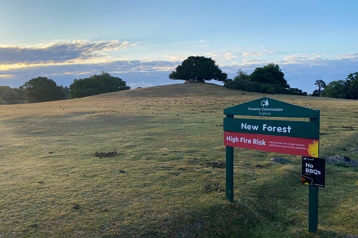 Small-group New Forest Discovery Walk from Lyndhurst