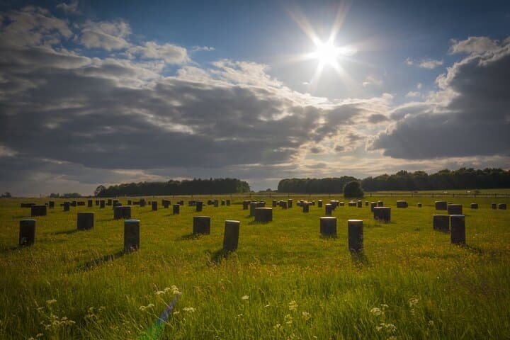 Woodhenge in the sun