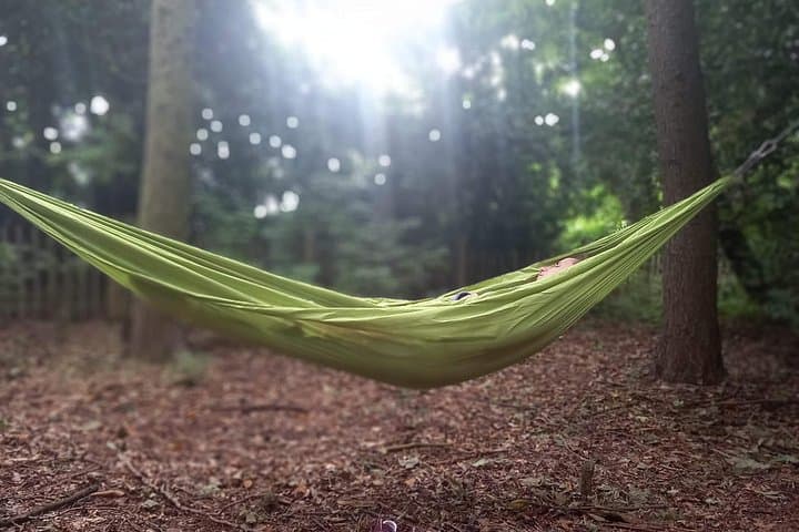 Private Mindfulness and Nature Walk in Edinburgh