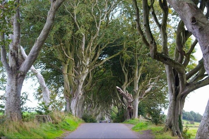 Giants Causeway Experience - Private Day Tour
