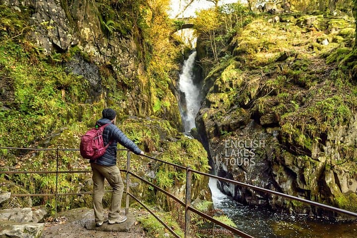Aira Force