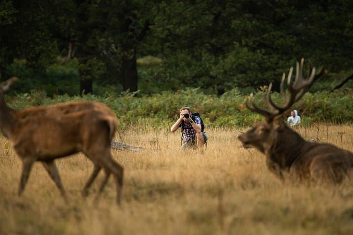 Wildlife Photography Workshop in Richmond Park in London