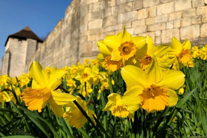 York 3-Hour Photography Walking Tour