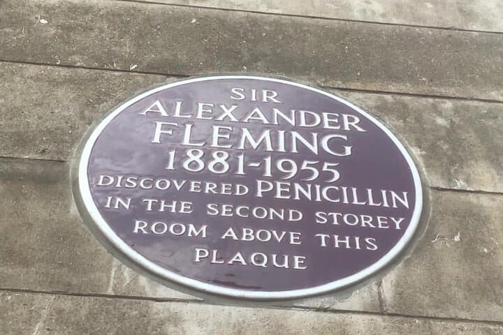 Where the first antibiotics were discovered