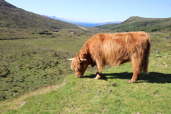 Explore the Isle of Skye in a full day tour