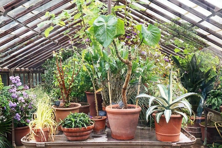 Secret Gardens of London Private Tour