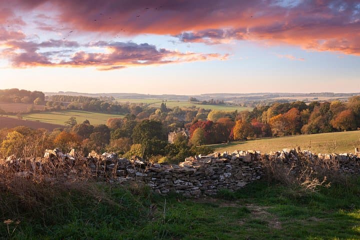 Landscape view