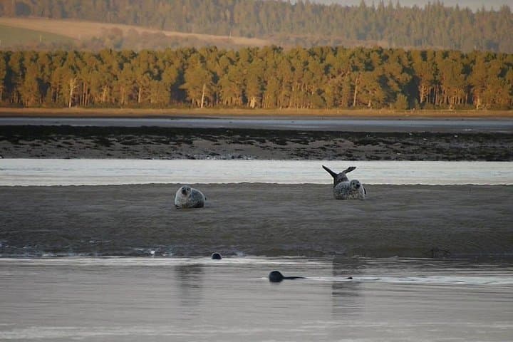 Loch fleet
