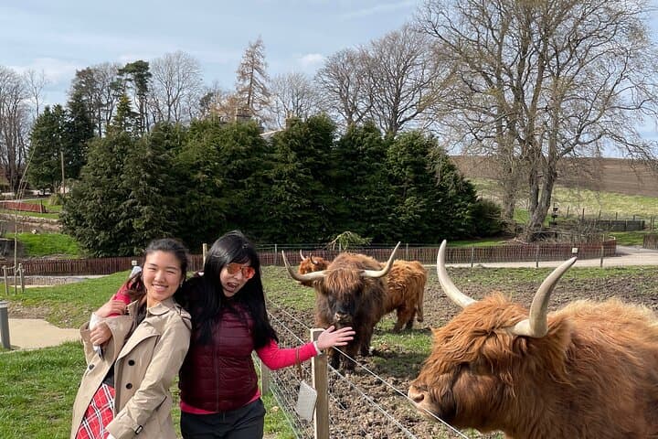 Meet the coos at Cardhu!