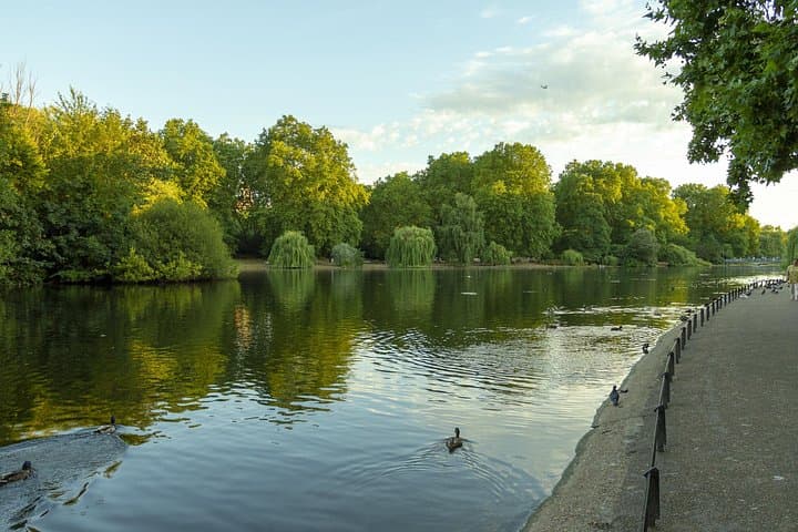The Best Highlights of London Walking Tour & Boat Cruise