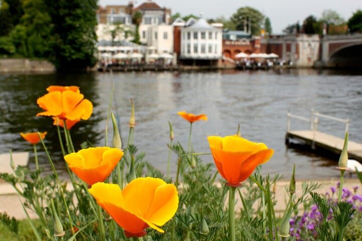 Hampton Court Walking Tour