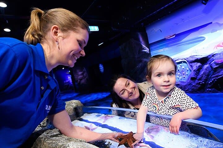 SEA LIFE London Aquarium Admission Ticket