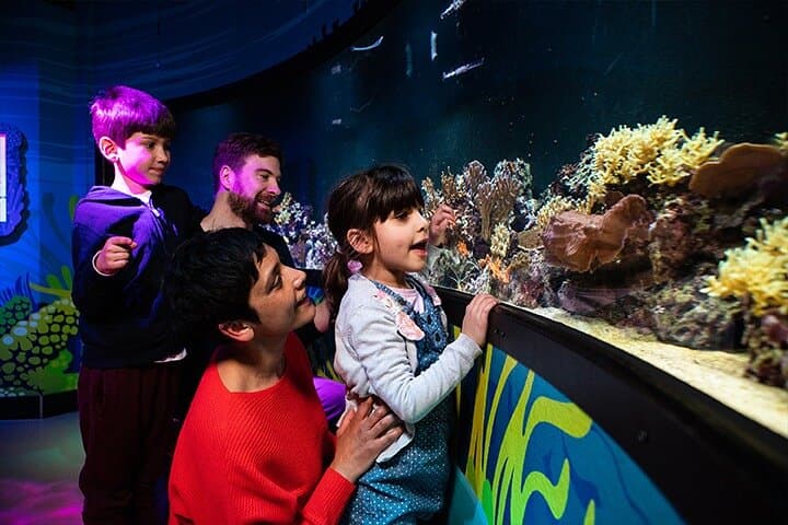 SEA LIFE London Aquarium Admission Ticket