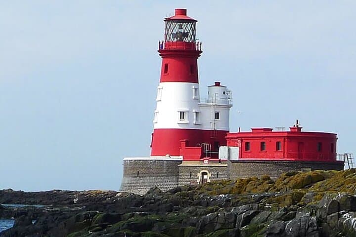 Seabird & Seal Farne Islands Cruise. 1.5 hours long. Departing from Seahouses.
