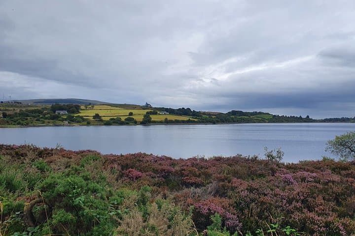 Lough Fea, Cookstown