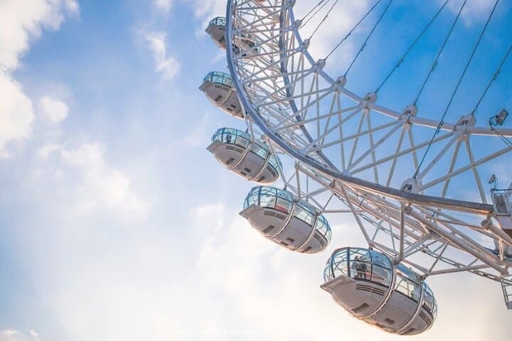 Family-Friendly Royal London: Private Half-Day Tour & London Eye