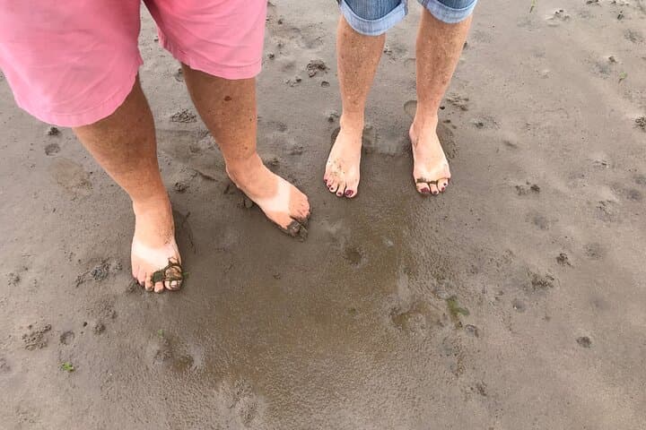 Pilgrims' Path walk across the sands to Holy Island
