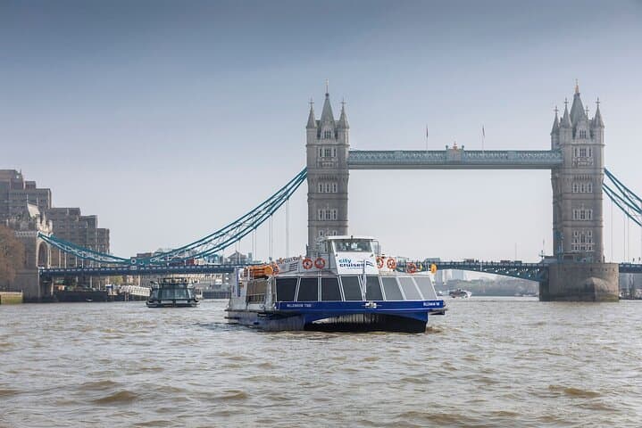 Hop-On Hop-Off Sightseeing River Cruise on the Thames