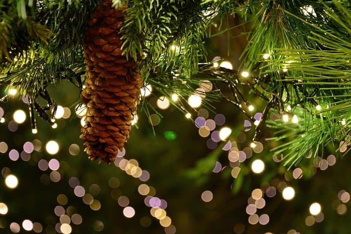 Private Christmas Walking Tour in Canterbury Medieval Heritage