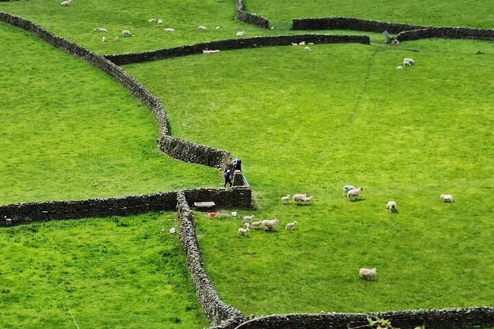 Dry Stone Walls in the Yorkshire Dales
