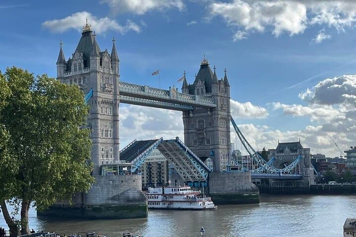Private Tour Best of London, Tower of London, Churchill War Rooms
