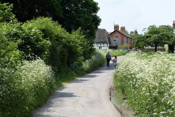 Wandering down a summer's lane in Avebury