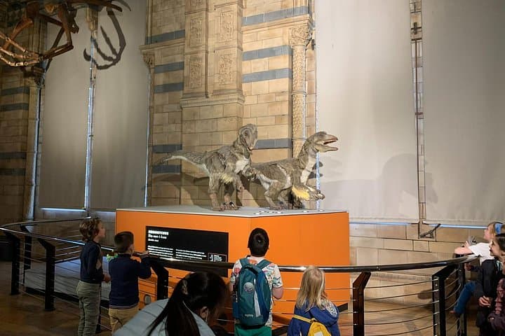 Private Guided Tour of Natural History Museum - Skip the Line