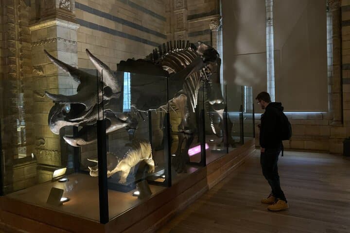 Private Guided Tour of Natural History Museum - Skip the Line