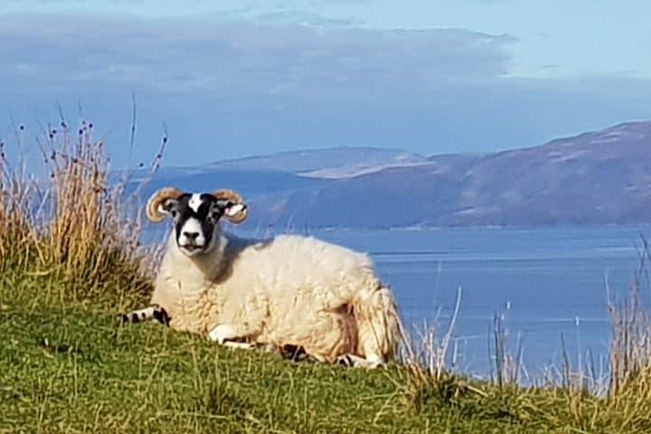 A local friend