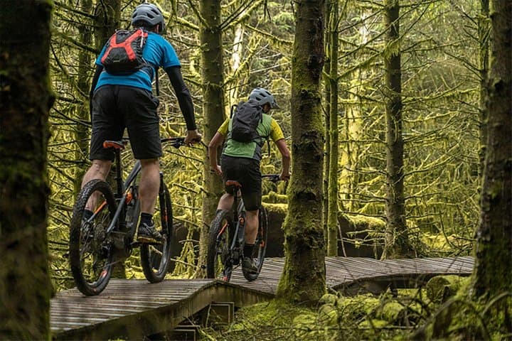Rostrevor Trails