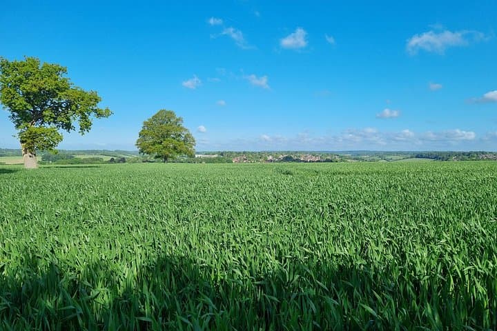 UK Camping Experience for Japanese People