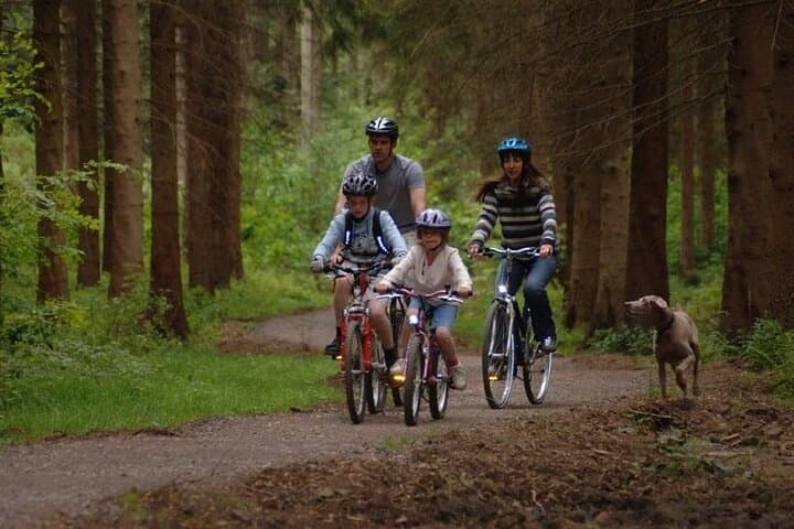 Fun for all family members, including the 4 legged ones!