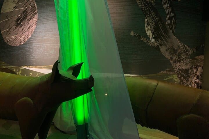 Saint Patrick Centre Exhibition experience