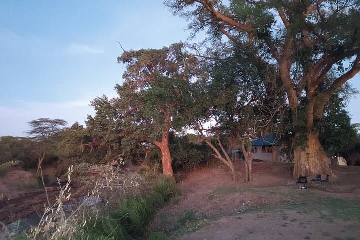 3 Days Masai Mara Camping Safari