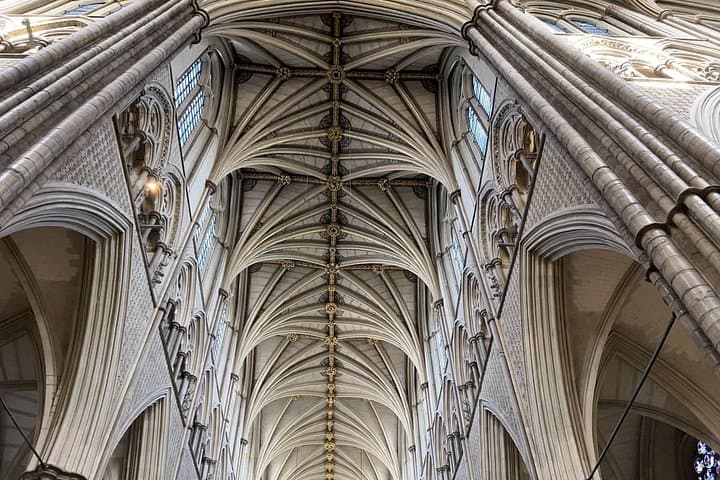 Incredible vaulted ceiling