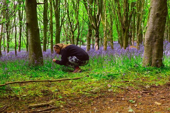 Yoga & Forest Bathing Day Retreat
