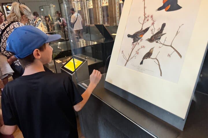 Kid-Friendly Natural History Museum & Dinosaurs Private Guided Tour in London