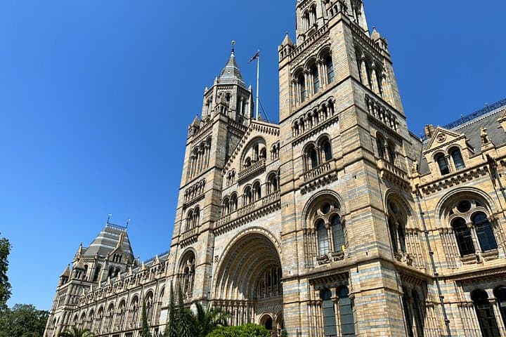 London Natural History Museum with Dinosaurs Gallery Private Tour for Kids