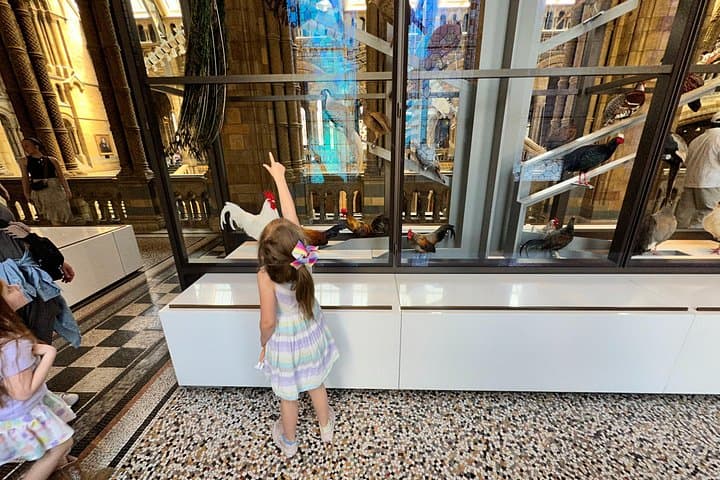London Natural History Museum with Dinosaurs Gallery Private Tour for Kids