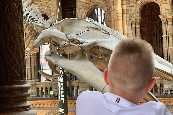 London Natural History Museum with Dinosaurs Gallery Private Tour for Kids