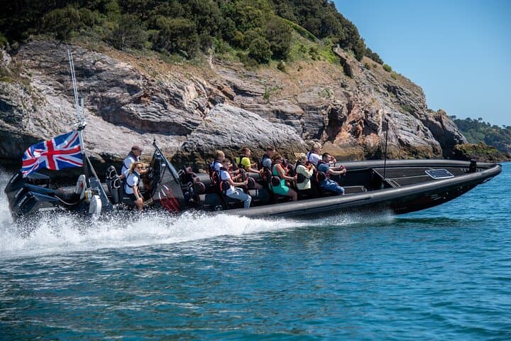 30 Minute Raptor RIB Ride Activity in Torquay