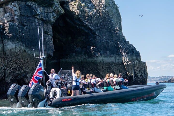 30 Minute Raptor RIB Ride Activity in Torquay
