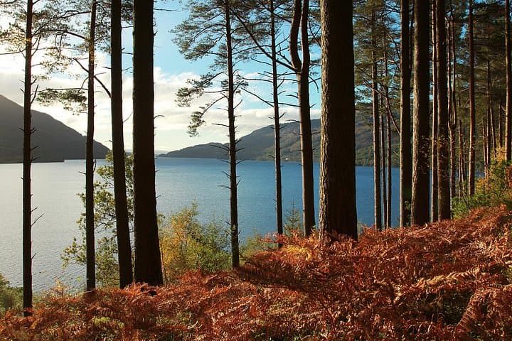 Stirling Castle, Loch Lomond and Cruise Day Tour from Glasgow