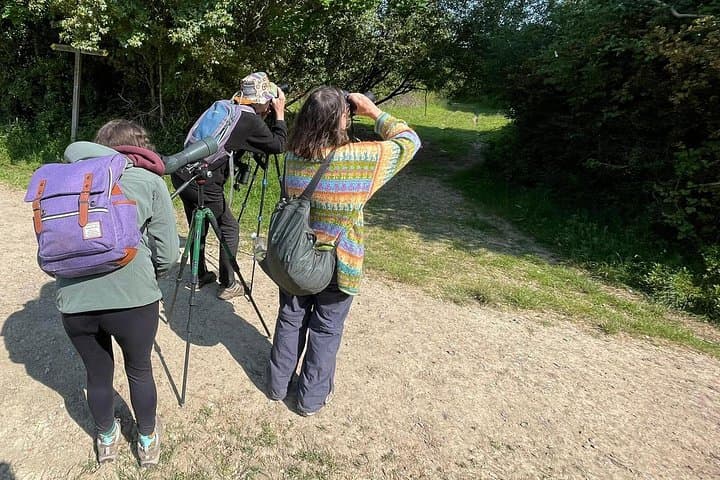 Sussex Birdwatching Private Guided Tour