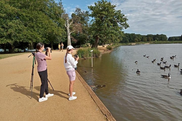 Sussex Birdwatching Private Guided Tour