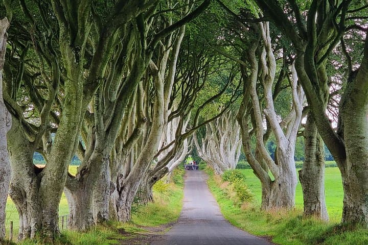 Private Giants Causeway Half-Day Tour From Belfast