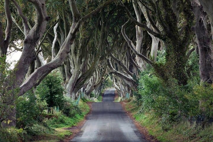 Private Giant's Causeway Tour including Game of Thrones Sites